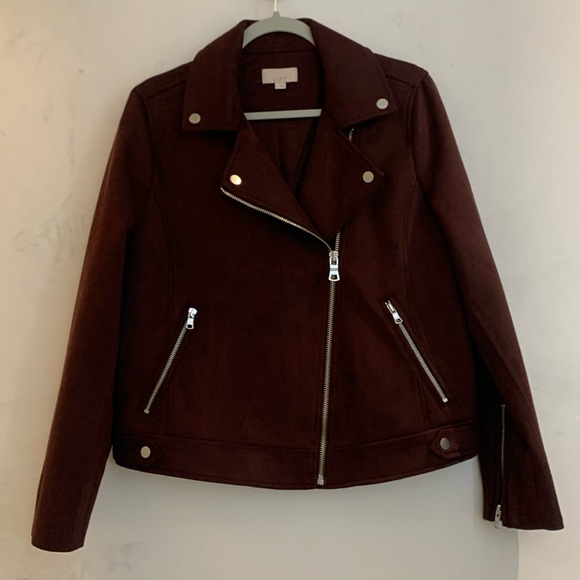 Loft Faux Suede Moto Jacket - Picture 1 of 4